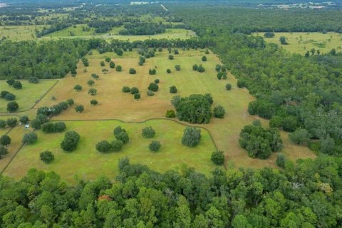 Terrain à vendre à Ocala, Floride № 2098850 - photo 6