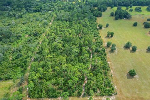 Terrain à vendre à Ocala, Floride № 2098850 - photo 22