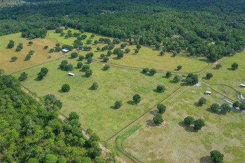 Terrain à vendre à Ocala, Floride № 2098850 - photo 26