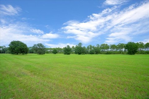 Terrain à vendre à Ocala, Floride № 2098850 - photo 28