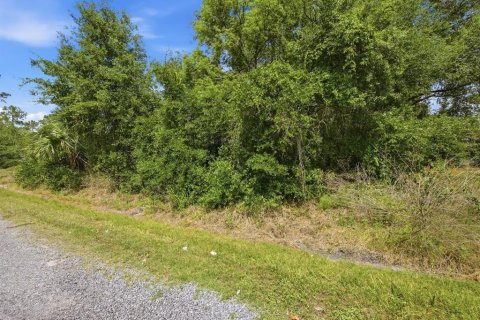Land in DeLand, Florida № 2159141 - photo 6