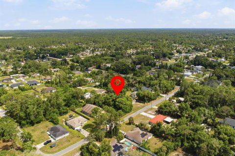 Land in DeLand, Florida № 2159141 - photo 2