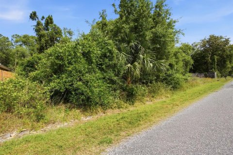 Land in DeLand, Florida № 2159141 - photo 5