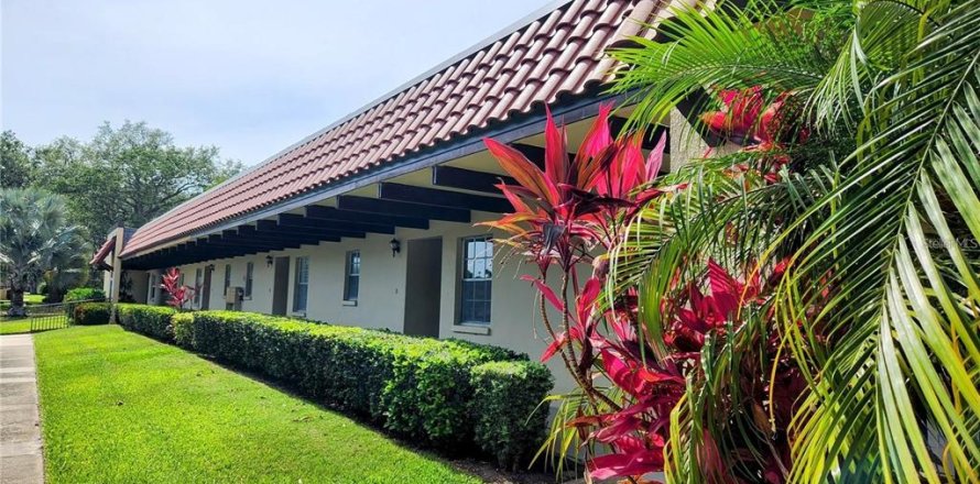 Condo à Dunedin, Floride, 1 chambre № 1041970