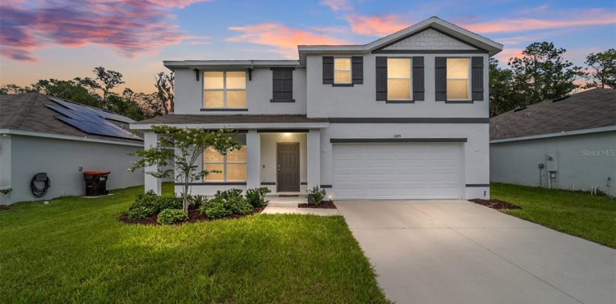House in Belleview, Florida 5 bedrooms, 247.21 sq.m. № 1808667