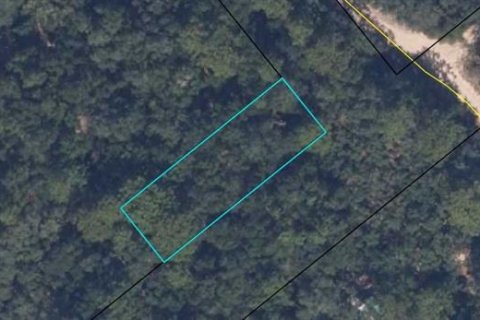 Land in Keystone Heights, Florida № 2163504