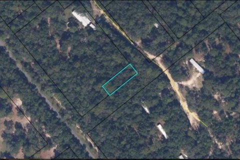 Land in Keystone Heights, Florida № 2163504 - photo 2