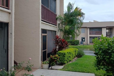 Condo à Tampa, Floride, 1 chambre  № 2118158