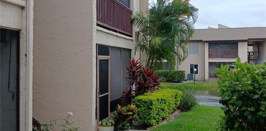 Condo in Tampa, Florida, 1 bedroom  № 2118158