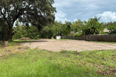 Terreno en venta en Plant City, Florida № 1918745 - foto 11