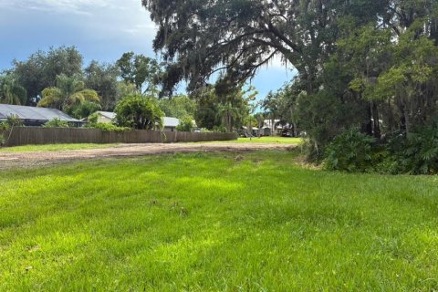 Terreno en venta en Plant City, Florida № 1918745 - foto 8