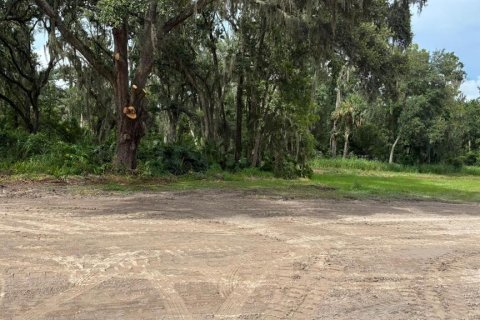 Terreno en venta en Plant City, Florida № 1918745 - foto 9