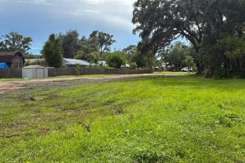 Terreno en venta en Plant City, Florida № 1918745 - foto 7