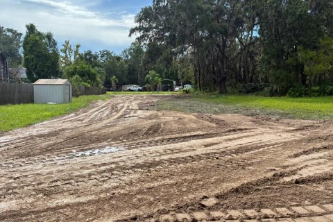 Terreno en venta en Plant City, Florida № 1918745 - foto 4