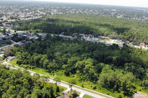 Land in Deltona, Florida № 1275845 - photo 9