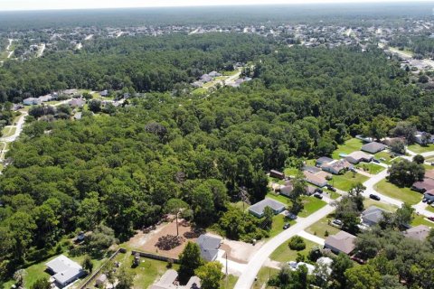 Land in Deltona, Florida № 1275845 - photo 2