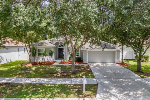House in Brandon, Florida 3 bedrooms, 177.72 sq.m. № 2334063