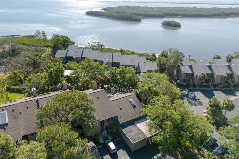 Condo in Clearwater, Florida, 2 bedrooms  № 1602881 - photo 1
