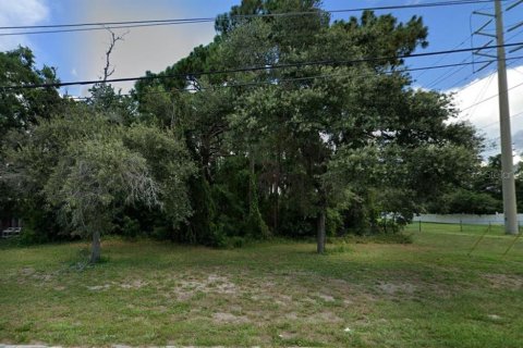 Land in Spring Hill, Florida № 1798491 - photo 2