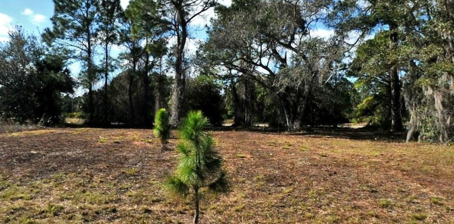 Land in North Port, Florida № 2164207