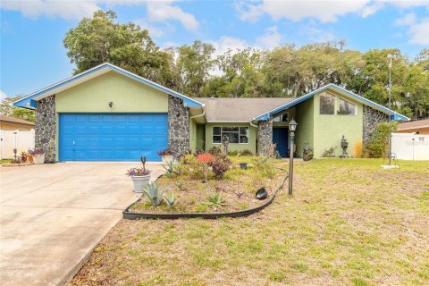 Villa ou maison à Palm Coast, Floride 3 chambres, 178.56 m2 № 2137178