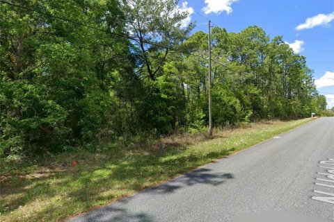 Land in Citrus Springs, Florida № 2212353 - photo 3