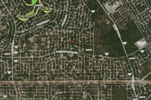 Land in Citrus Springs, Florida № 2212353 - photo 2