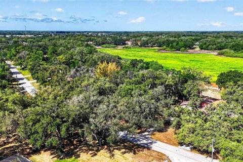 Land in Zephyrhills, Florida № 2095902 - photo 8