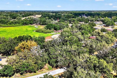 Land in Zephyrhills, Florida № 2095902 - photo 10