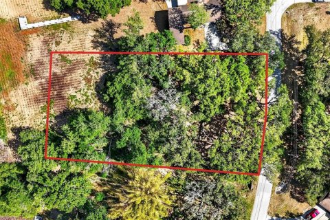 Land in Zephyrhills, Florida № 2095902 - photo 21