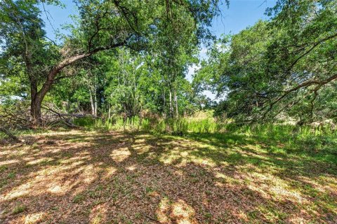 Land in Zephyrhills, Florida № 2095902 - photo 5
