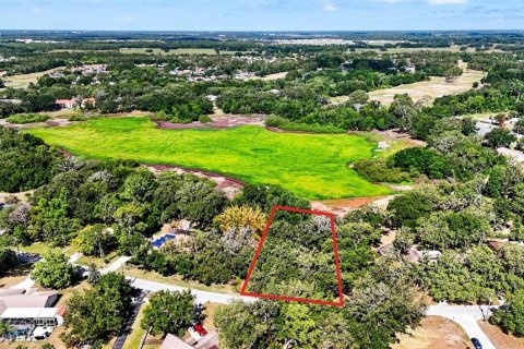 Land in Zephyrhills, Florida № 2095902 - photo 25