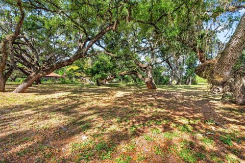 Land in Zephyrhills, Florida № 2095902 - photo 2