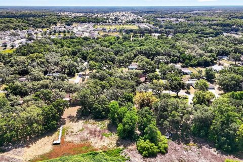 Land in Zephyrhills, Florida № 2095902 - photo 13