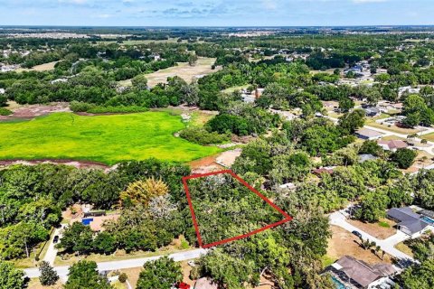 Land in Zephyrhills, Florida № 2095902 - photo 18
