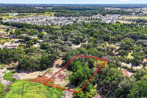 Land in Zephyrhills, Florida № 2095902 - photo 19