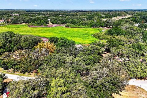 Land in Zephyrhills, Florida № 2095902 - photo 9