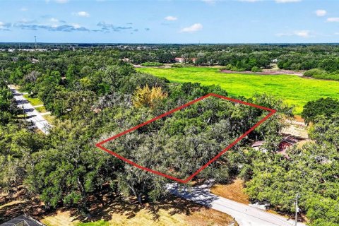 Land in Zephyrhills, Florida № 2095902 - photo 23