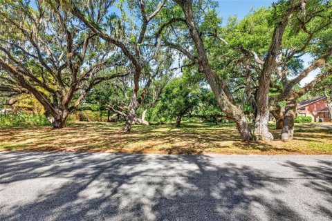 Land in Zephyrhills, Florida № 2095902