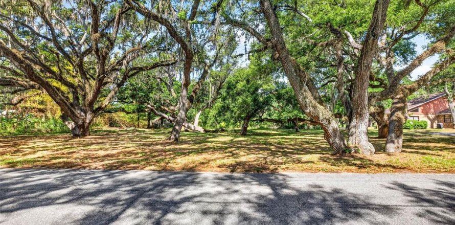 Land in Zephyrhills, Florida № 2095902