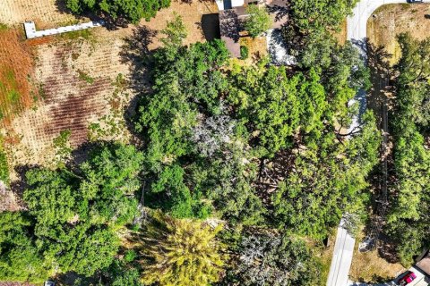 Land in Zephyrhills, Florida № 2095902 - photo 11