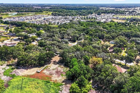 Land in Zephyrhills, Florida № 2095902 - photo 12