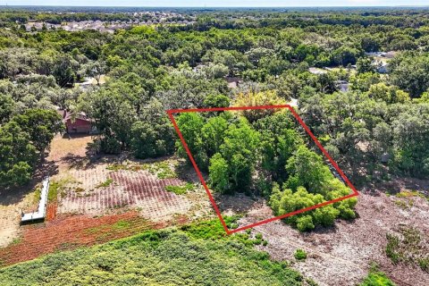 Land in Zephyrhills, Florida № 2095902 - photo 20