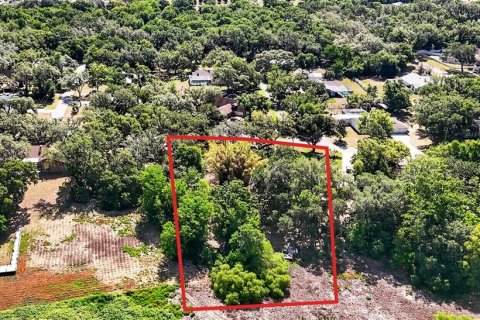 Land in Zephyrhills, Florida № 2095902 - photo 24
