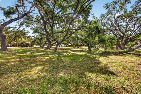 Land in Zephyrhills, Florida № 2095902 - photo 4