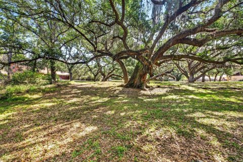 Land in Zephyrhills, Florida № 2095902 - photo 6