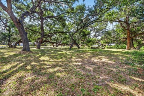Land in Zephyrhills, Florida № 2095902 - photo 3