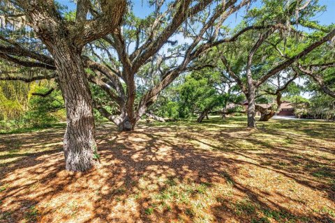 Land in Zephyrhills, Florida № 2095902 - photo 7