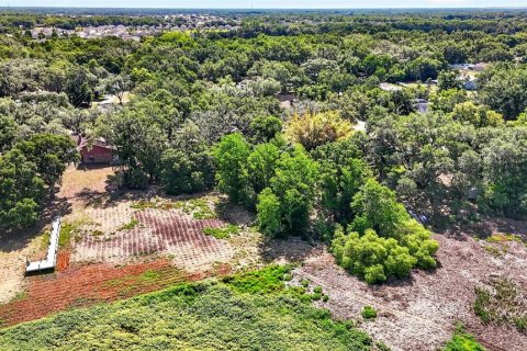 Land in Zephyrhills, Florida № 2095902 - photo 15