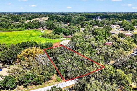 Land in Zephyrhills, Florida № 2095902 - photo 22
